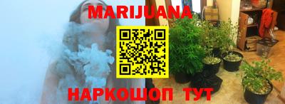 сатива Моздок
