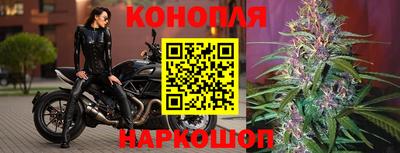 сатива Моздок