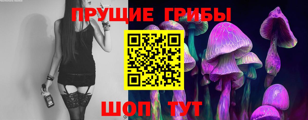 Псилоцибиновые грибы ЛСД  Галлюциногенные грибы мицелий  Ступино  Вход с VPN 