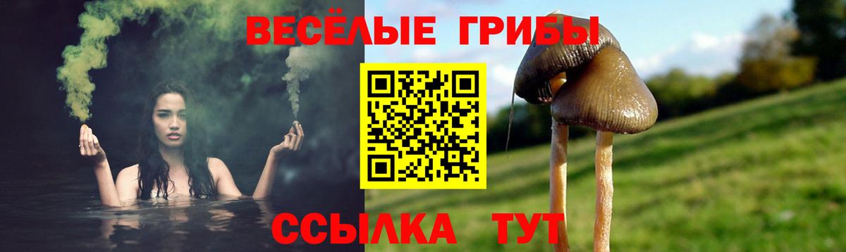 Псилоцибиновые грибы ЛСД Ступино